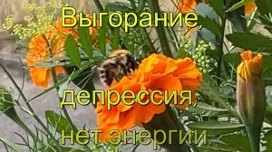 1 Выгорание, депрессия, нет энергии. Что с этим делать
