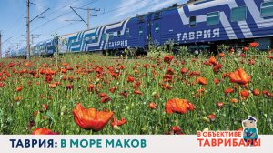 Таврия: в море маков