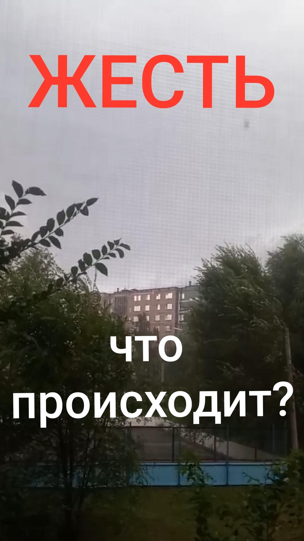Жесть, что происходит?