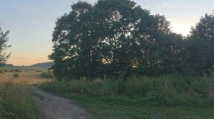 Поиск монет и кладов на урочище после культивации (продолжение) c XP Deus 2