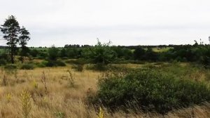 Матрица ГАРЯЕВА . Исцеление отношений. Текст установка под звуковые частоты. Канал:  Tirtha_Relax  .
