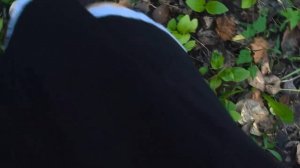 [ 88% ]▫️Девушка в черном платье и туфлях в грязи