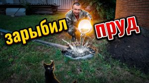 Зарыбил мини пруд.Наловил живцов