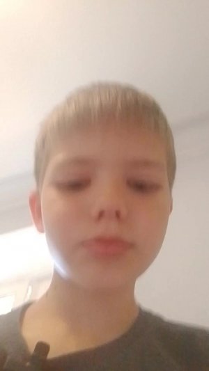 делаю домик