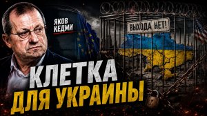 КЕДМИ - Клетка для Украины
