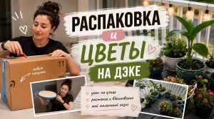КАК ВЫЖИВАЮТ РУССКОЯЗЫЧНЫЕ НА ЗАГНИВАЮЩЕМ ЗАПАДЕ: распаковка и мой результат пересадки растений