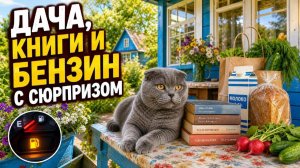 15.08 дача, книги и бензин с сюрпризом