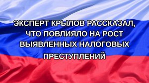 |Н. РФ| Эксперт Крылов рассказал, что повлияло на рост выявленных налоговых преступлений