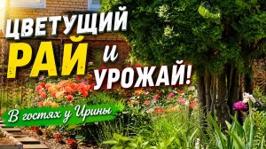 В РОЗОВОМ РАЮ на 5 сотках