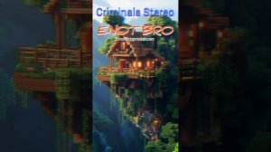 Criminals Stereo-ENOT_Bro (Original Idit).mp4