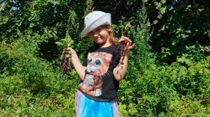 Краски и плоды лета Собираем урожай и спасаем стрекозу