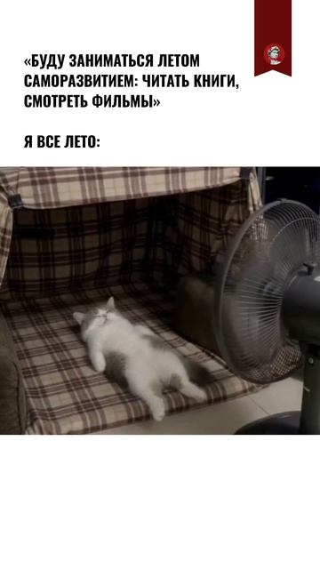 Что было в вашем списке дел на лето?