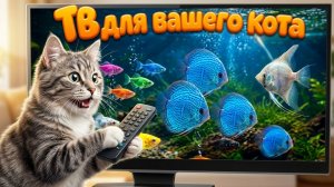 Аквариум ТВ для кошек 🐟 Успокаивающий звук и яркие рыбки 🐟 Кошачий Телевизор