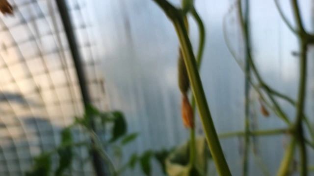 Опять случилось почему?