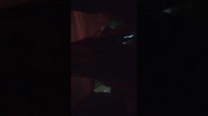 разговорное видео