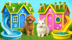 Домики Одного Цвета для Животных Челлендж _ Сумасшедший Челлендж от Multi DO Smile