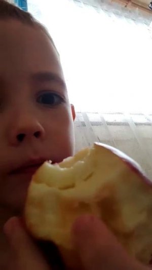 15-08-2026