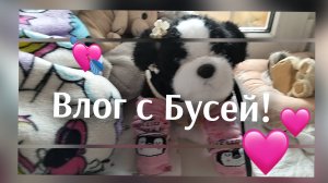 Влог с Бусей! 🩷