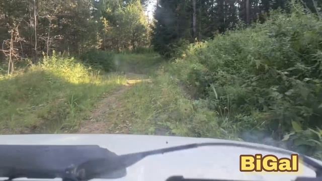 Прикадка да обкатка 21213
