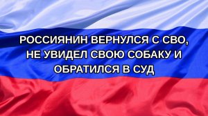 |Н. РФ| Россиянин вернулся с СВО, не увидел свою собаку и обратился в суд