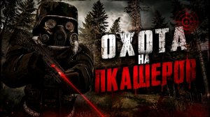 Я СНОВА ВЫШЕЛ НА ОХОТУ ЗА ПКАШЕРАМИ!!  С Нуля до ЛЕГЕНДЫ Зоны! (6) - STALZONE