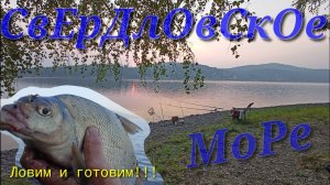 РЫБАЛКА моей МЕЧТЫ !!! Жарю Рыбу на Костре!!! Ночное Нападение Животных!!! Дождался Леща!!!
