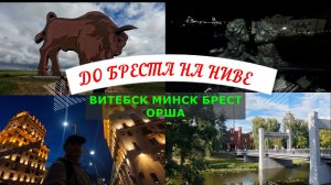НА НИВЕ ДО БРЕСТА | ВИТЕБСК МИНСК БРЕСТ | ЧТО ВИДИМ ТО И СНИМАЕМ
