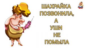 ШАХРАЙКА ПОЗВОНИЛА, А УШИ НЕ ПОМЫЛА