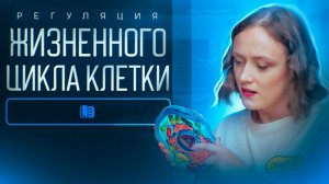 Эволюция митоза. Регуляция жизненного цикла | ЕГЭ по биологии 2025