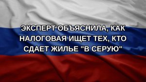 Эксперт объяснила, как налоговая ищет тех, кто сдает жилье «в серую»