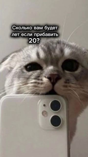 21🫠