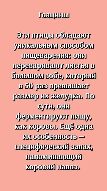 А вы знали?