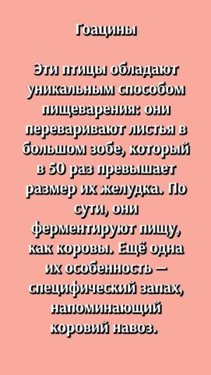 А вы знали?