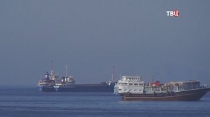 Вслед за Канадой и Гренландией Трамп решил присоединить к США Ормузский пролив