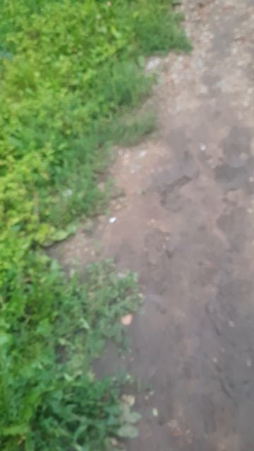 Какие тебе женщины нравятся в 50+?