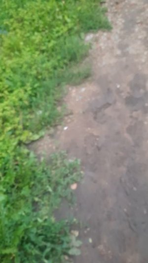 Какие тебе женщины нравятся в 50+?