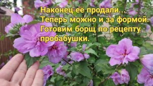 Наконец я её продала. Теперь можно и за формой. Фикс прайс. Борщец по рецепту моей пробабушки