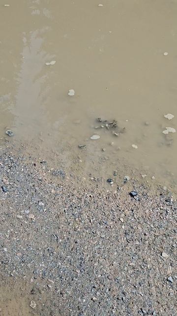 В деревне, в деревне приехали с города, намечается гроза