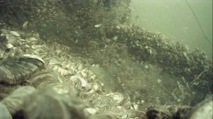 1000025511.mp4Волга гл.2м.15.08.2026г.