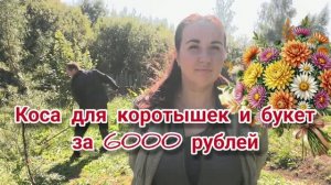 Коса для коротышек и букет за 6000 рублей