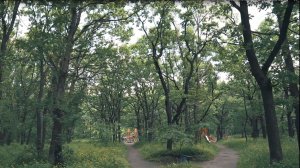 Нововоронежский оазис
