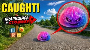 💀🌈Я поймал проклятого сквиши в РЕАЛЬНОЙ ЖИЗНИ! (3 часа ночи)