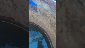потоп картонной лузитании