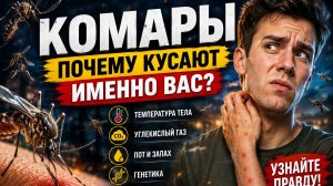 КОМАРЫ. Почему кусают именно вас?