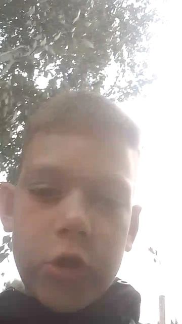 VID_20260815_121628.mp4