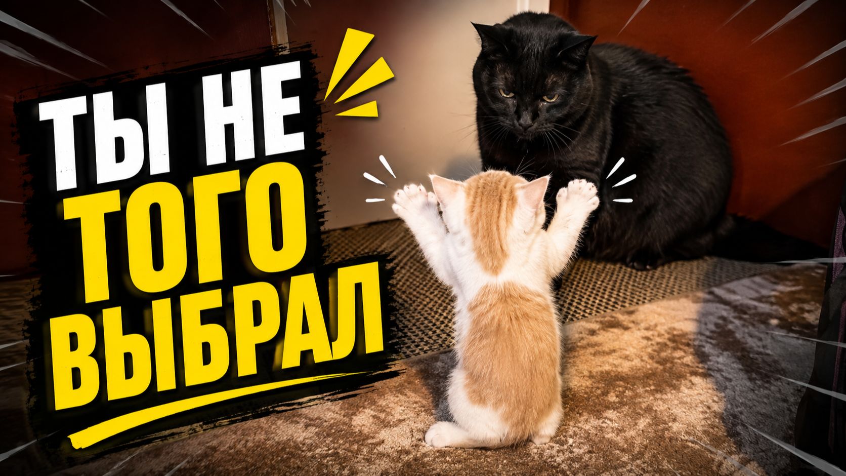 Смех до слёз: лучшие приколы №312