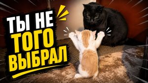 Смех до слёз: лучшие приколы №312