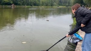 Вечер.Карп