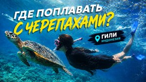 ГИЛИ ЭЙР / ЛОМБОК: Снорклинг с черепахами, водопады, пляжи, еда / Индонезия / Gili Air, Lombok