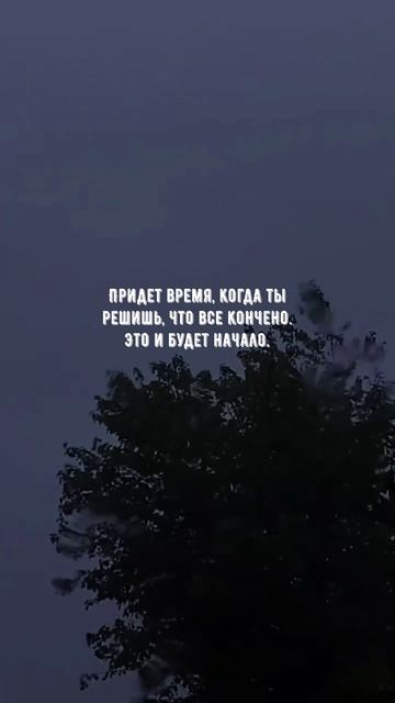 #1150 Цитата дня. Мотивация.